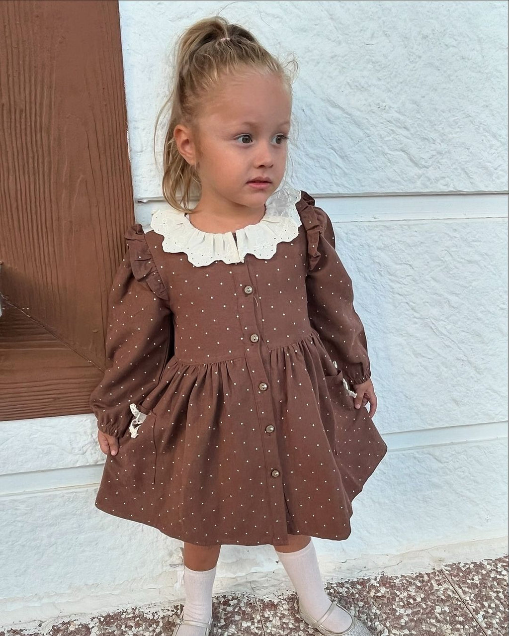 Brown & Dots Dress
