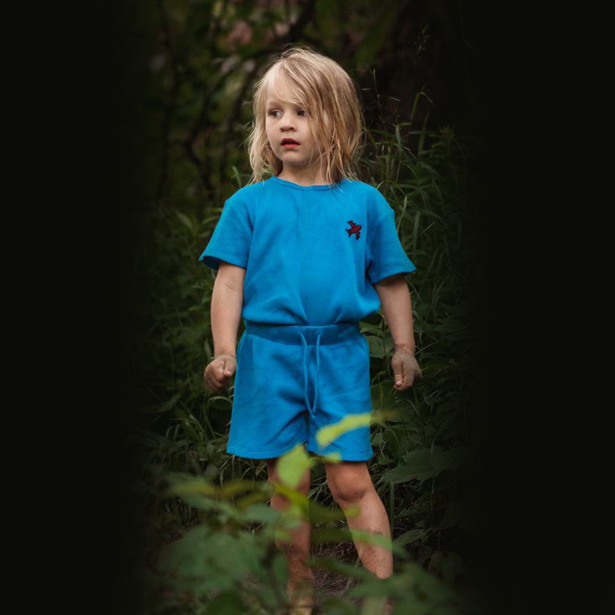 Waffle Shorts Set with Plane Embroidery