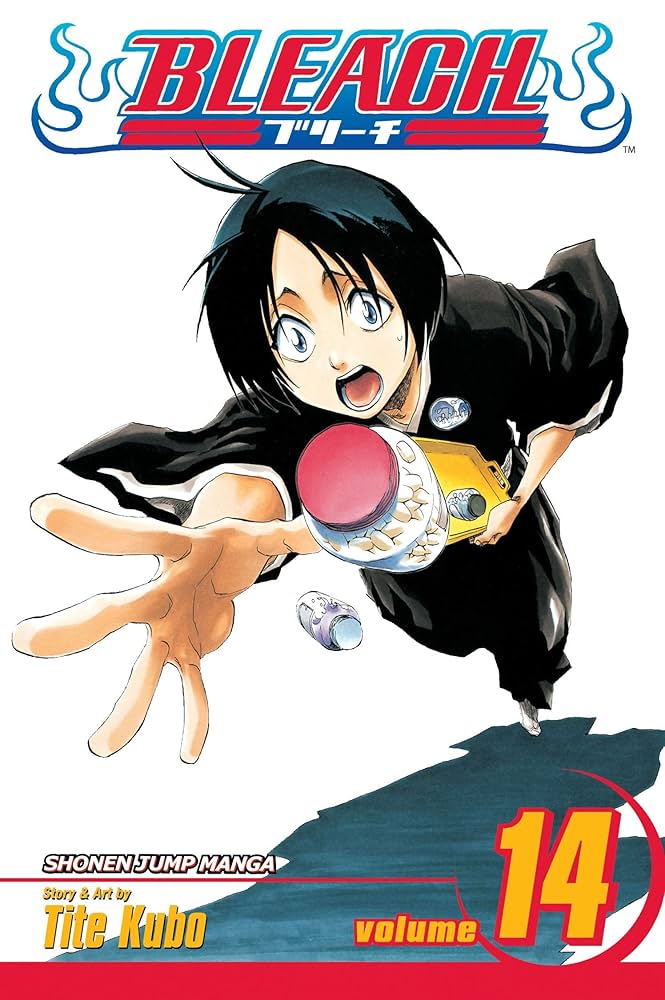 BLEACH N°14