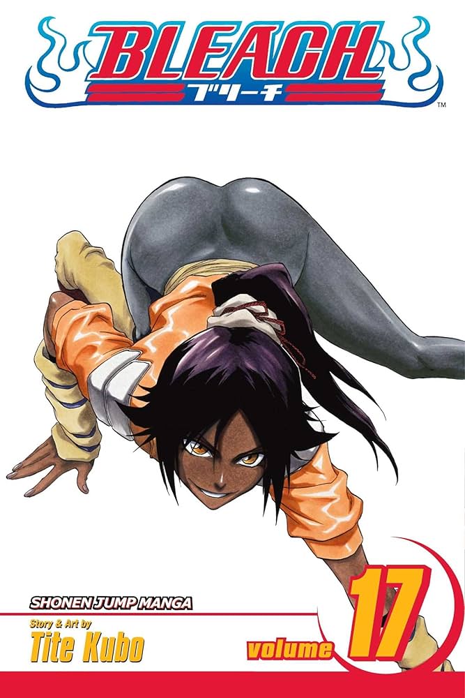 BLEACH N°17