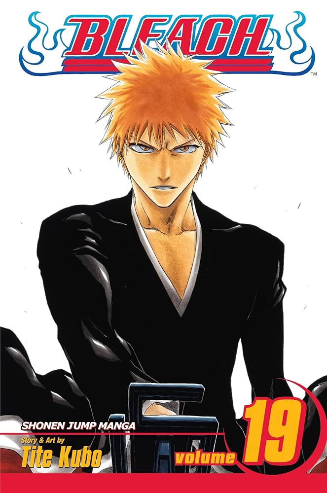 BLEACH N°19