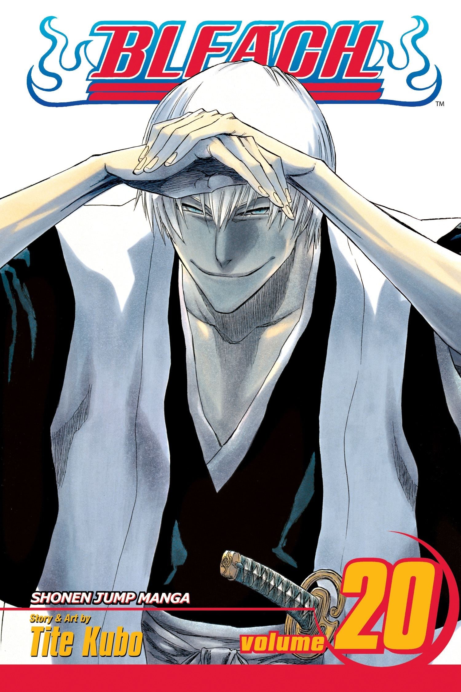 BLEACH N°20