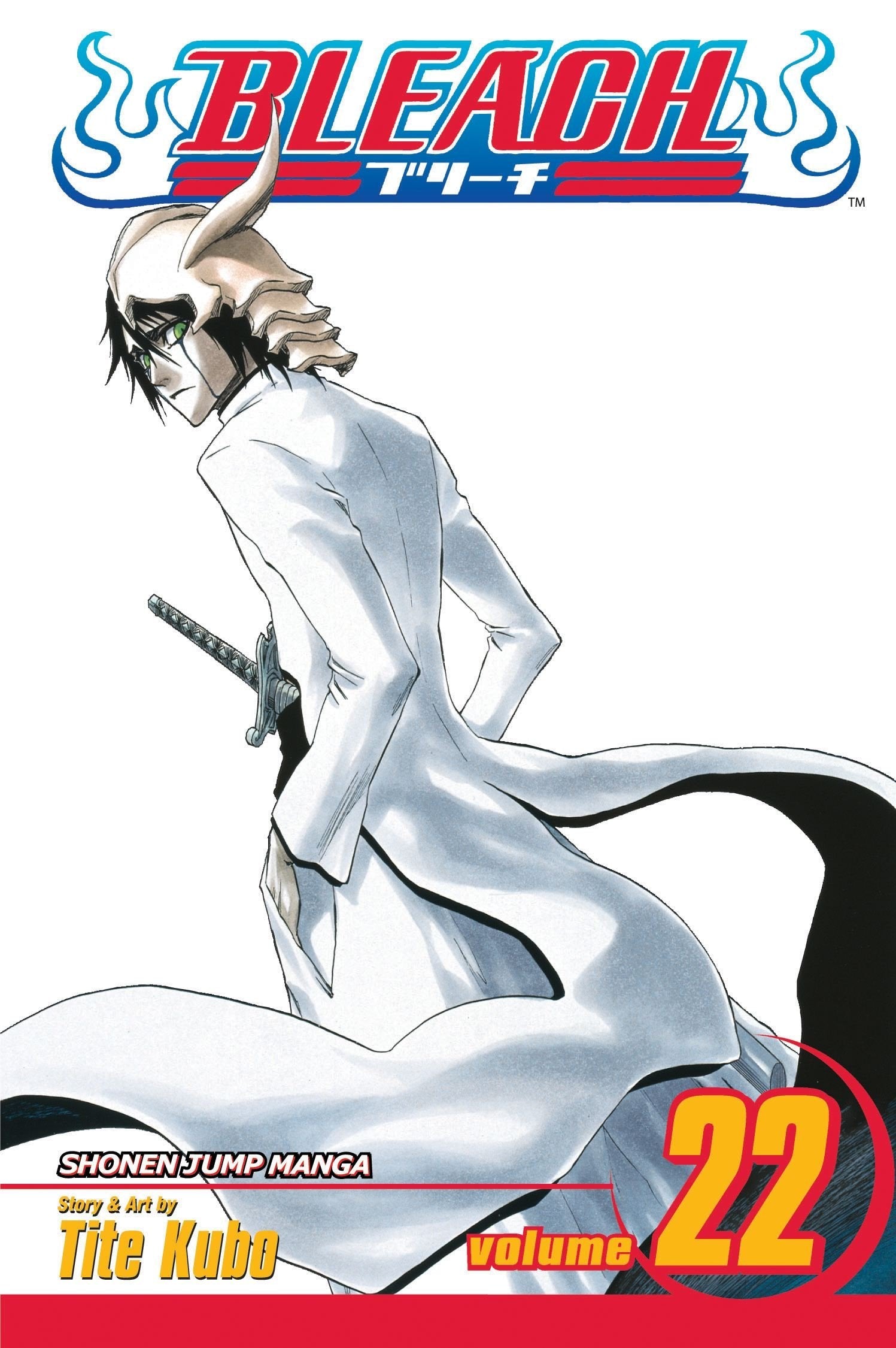 BLEACH N°22
