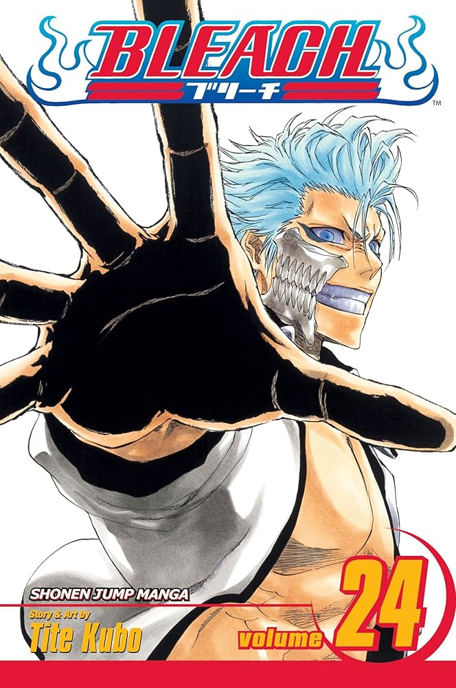 BLEACH N°24