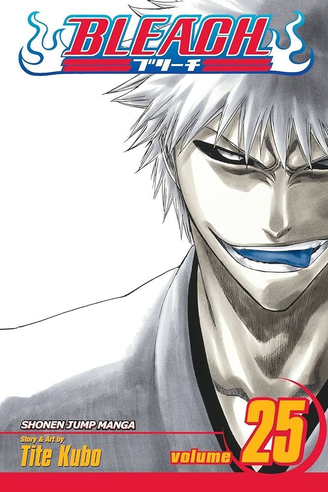 BLEACH N°25