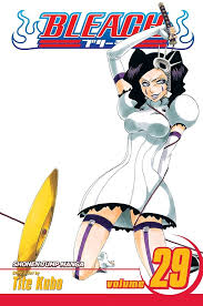 BLEACH N°29
