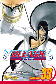 BLEACH N°33