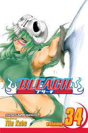 BLEACH N°34