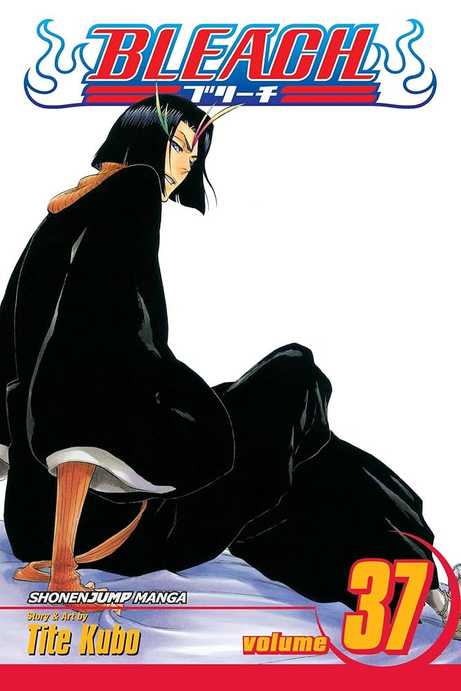 BLEACH N°37