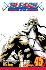BLEACH N°45