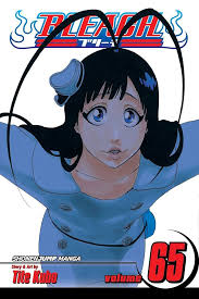 BLEACH N°65