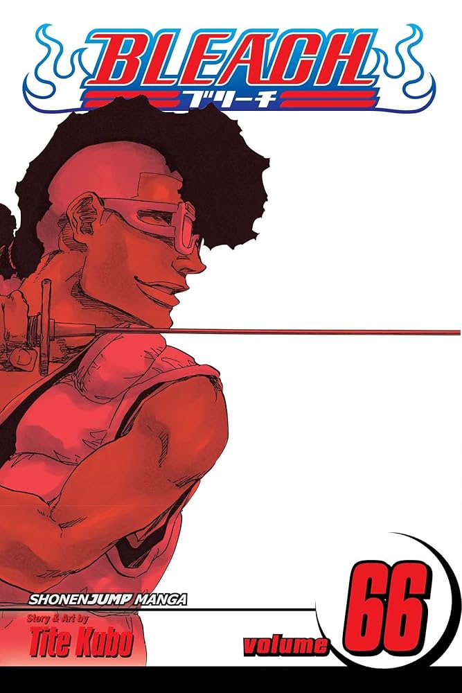 BLEACH N°66