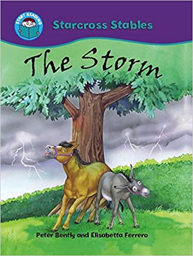 START READING 2 - STARCROSS STABLES : THE STORM  (AGE 6+)