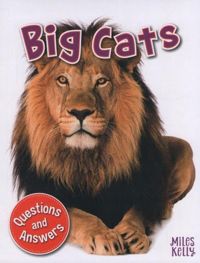 MY QUESTION & ANSWER N°03 BIG CATS  (AGE 5+)