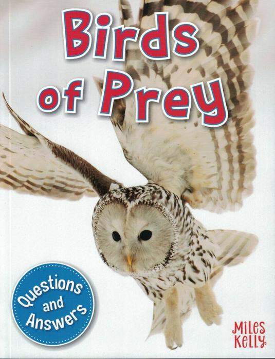 MY QUESTION & ANSWER N°04 BIRDS OF PREY  (AGE 5+)