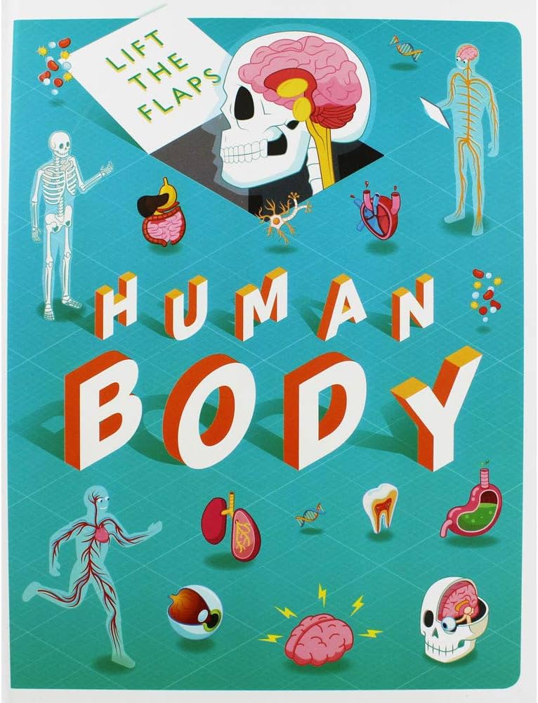 HUMAN BODY - LIFT THE FLAPS