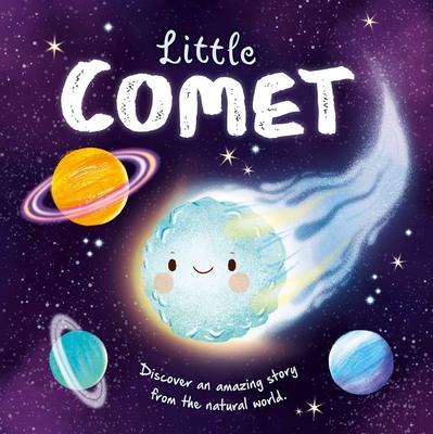 PICTURE FLATS - LITTLE COMET