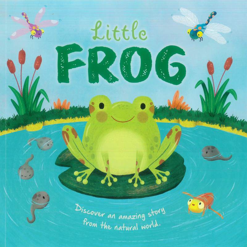 PICTURE FLATS - LITTLE FROG