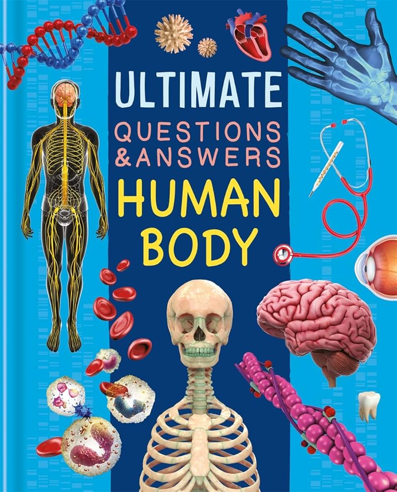 ULTIMATE QUESTIONS AND ANSWERS HUMAN BODY