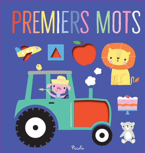 PREMIERS MOTS - LIVRE JOUET