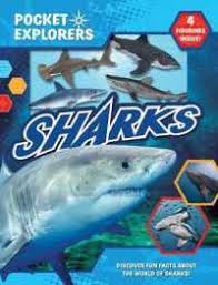 POCKET EXPLORERS - SHARKS   (WITH 4 FIGURINES) (AGE 3+)