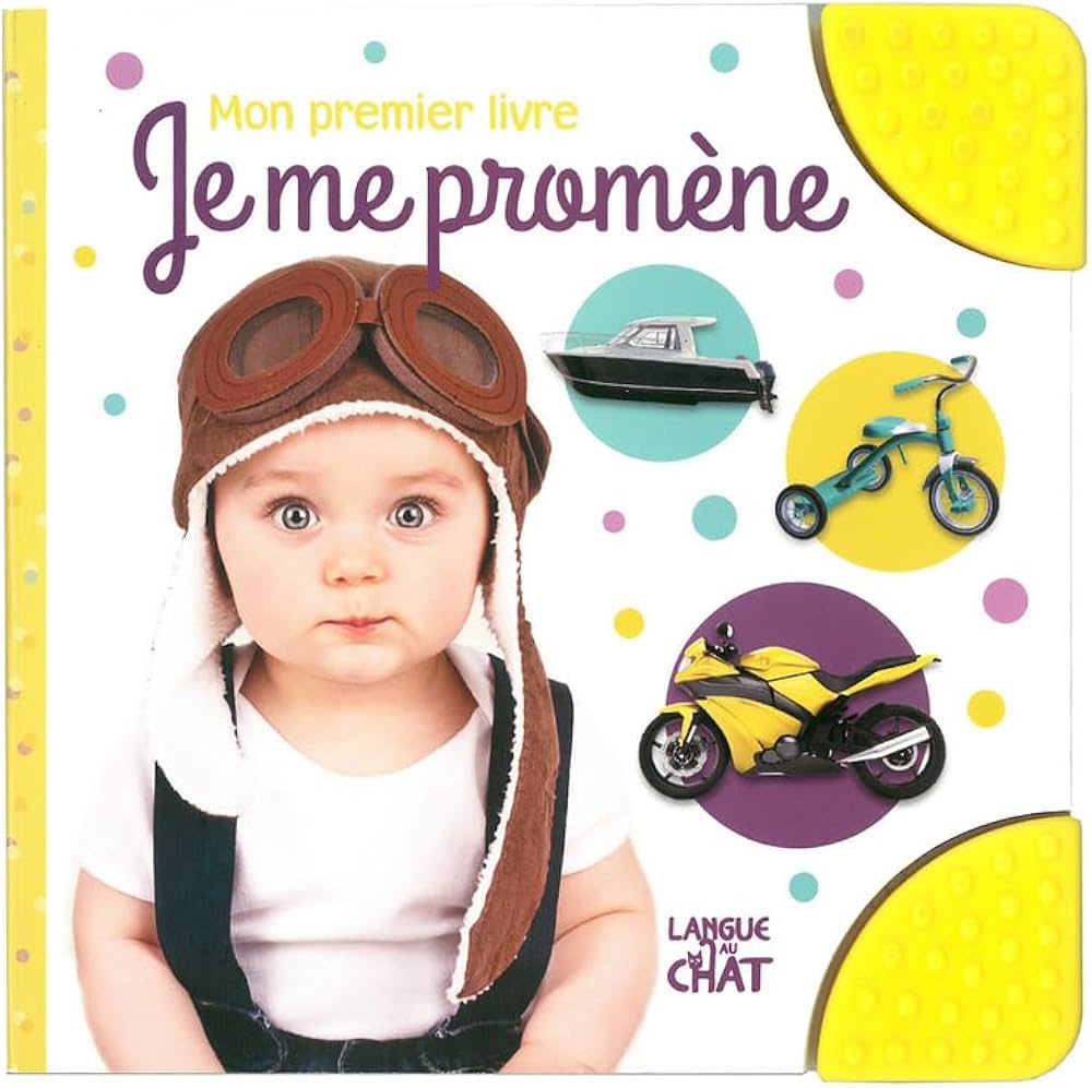 MON PREMIER LIVRE - JE ME PROMENE (TOUT CARTON)