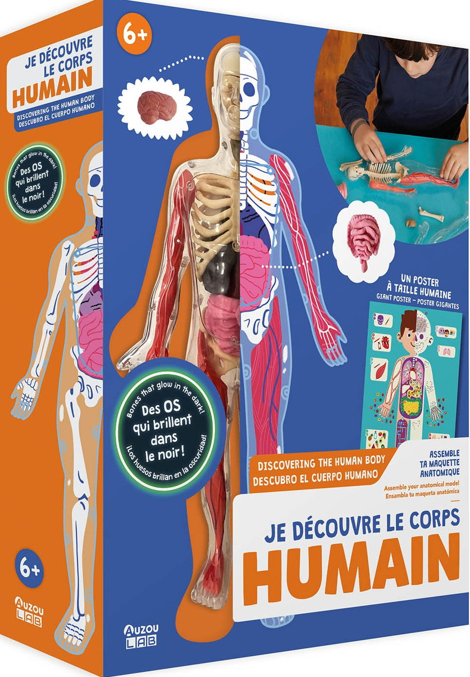 COFFRET JE DECOUVRE LE CORPS HUMAIN